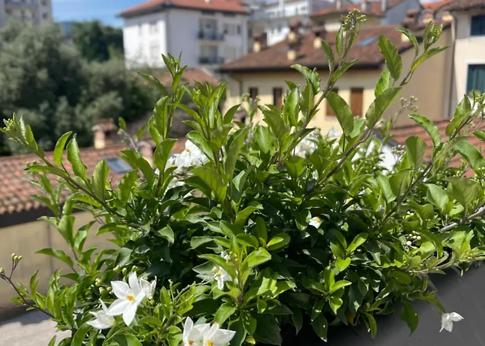 Casa Carmelo Pensión Schio