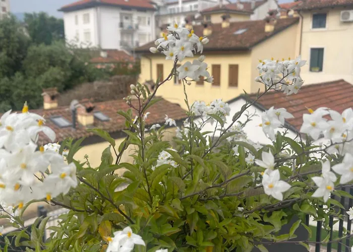 Casa Carmelo Pensión 3*